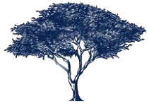 logo for akazien